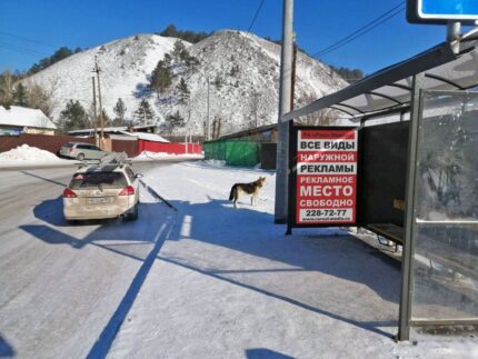 Лесная 279, остановка СПХ Удачный