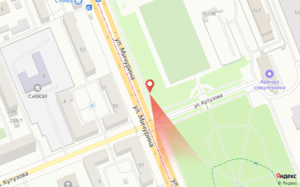 Мичурина, 55