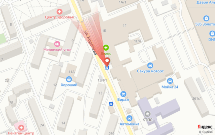 Королева, 11