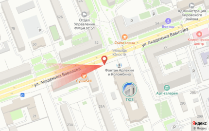 Академика Вавилова 25, остановка ТЮЗ