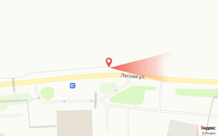 Лесная, напротив здания по ул. Живописной 2